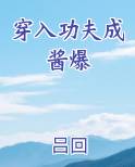 穿入功夫成酱爆
