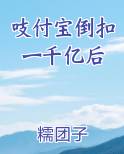 吱付宝倒扣一千亿后 小说