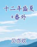 十二年春夏秋冬小说
