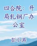 四合院：开局轧钢厂办公室在线阅读无弹窗