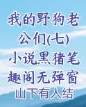 我的野狗老公们(七)小说黑猪笔趣阁无弹窗