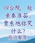 四合院：抢亲秦淮茹，贾东旭你哭什么？小说全集