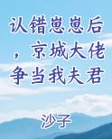 认错崽崽后，京城大佬争当我夫君小说全文免费阅读