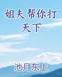 姐夫帮你打天下