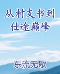 从村支书到仕途巅峰