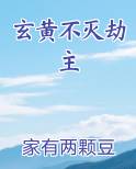 玄黄不灭劫主