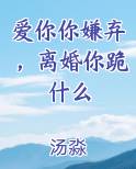 爱你你嫌弃，离婚你跪什么在线阅读无弹窗