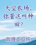天空农场，你管这叫种田？在线阅读无弹窗