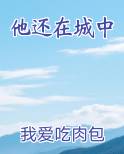 他还在城中在线阅读无弹窗