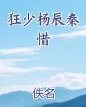 狂少杨辰秦惜