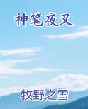 神笔夜叉全本免费阅读