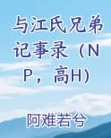 与江氏兄弟记事录（NP，高H）