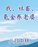 我，社畜，氪金养老婆小说全文免费阅读