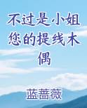 不过是小姐您的提线木偶