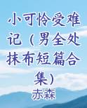 小可怜受难记（男全处抹布短篇合集）