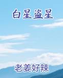 白星盗星排行榜